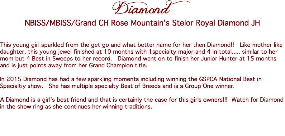 Diamond
NBISS/MBISS/Grand CH Rose Mountain's Stelor Royal Diamond JH This young girl sparkled from the get go and what better name for her then Diamond!! Like mother like daughter, this young jewel finished at 10 months with 1specialty major and 4 in total..... similar to her mom but 4 Best in Sweeps to her record. Diamond went on to finish her Junior Hunter at 15 months and is just points away from her Grand Champion title. In 2015 Diamond has had a few sparkling moments including winning the GSPCA National Best in Specialtiy show. She has multiple specialty Best of Breeds and is a Group One winner. A Diamond is a girl's best friend and that is certainly the case for this girls owners!!! Watch for Diamond in the show ring as she continues her winning traditions. 